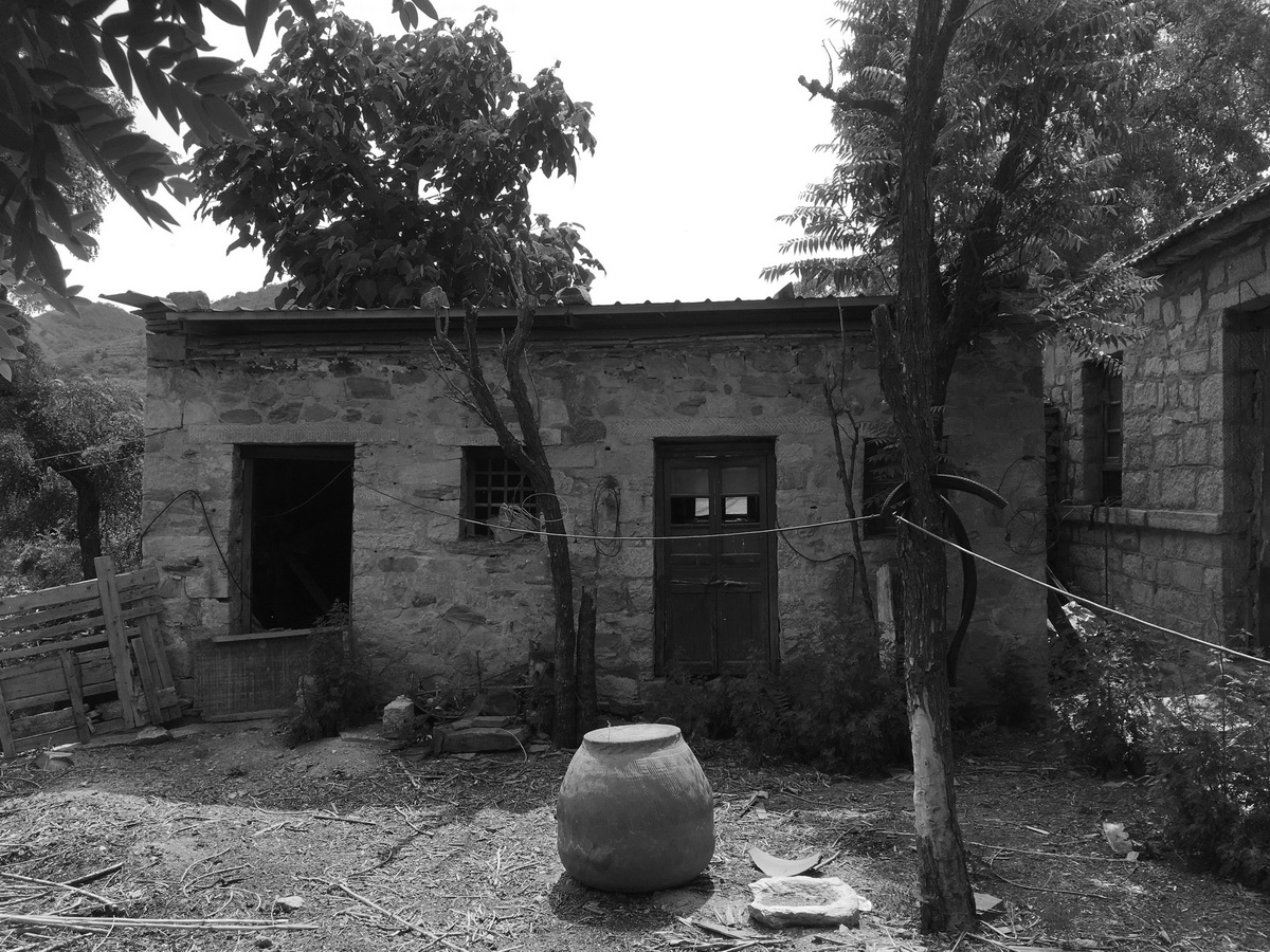 BIM建筑|十二个宅基地的新生：泰安东西门村活化更新 / 孟凡浩-gad · line+ studio