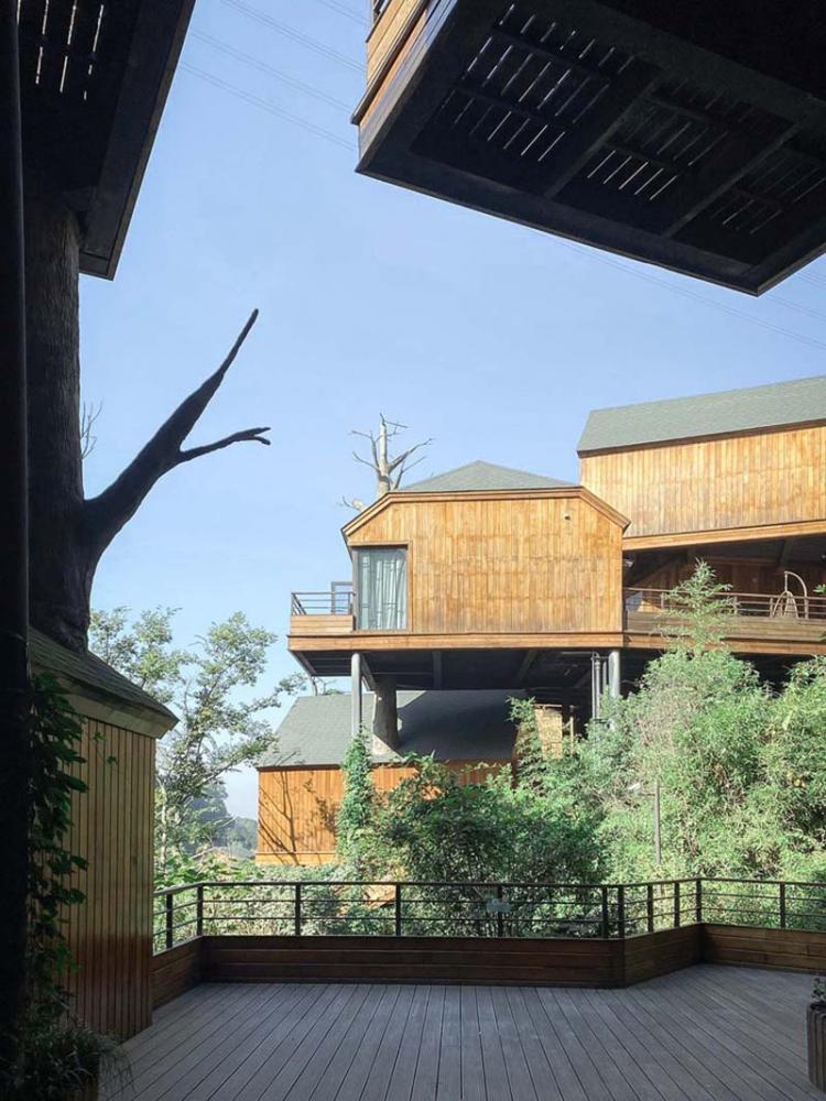 BIM建筑|杭州开元森泊度假酒店“树屋”：簇拥推搡的“小矮人” / 王晖建筑工作室