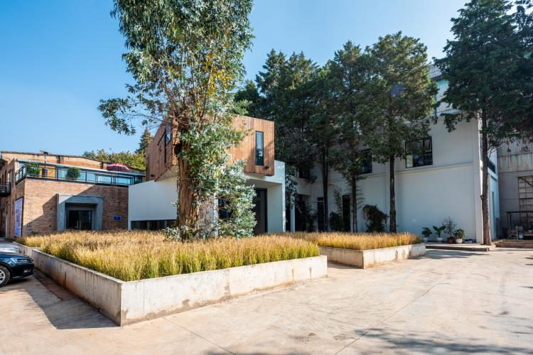 BIM建筑|长空创作办公楼：农耕自然般的静谧与优雅 / 长空创作