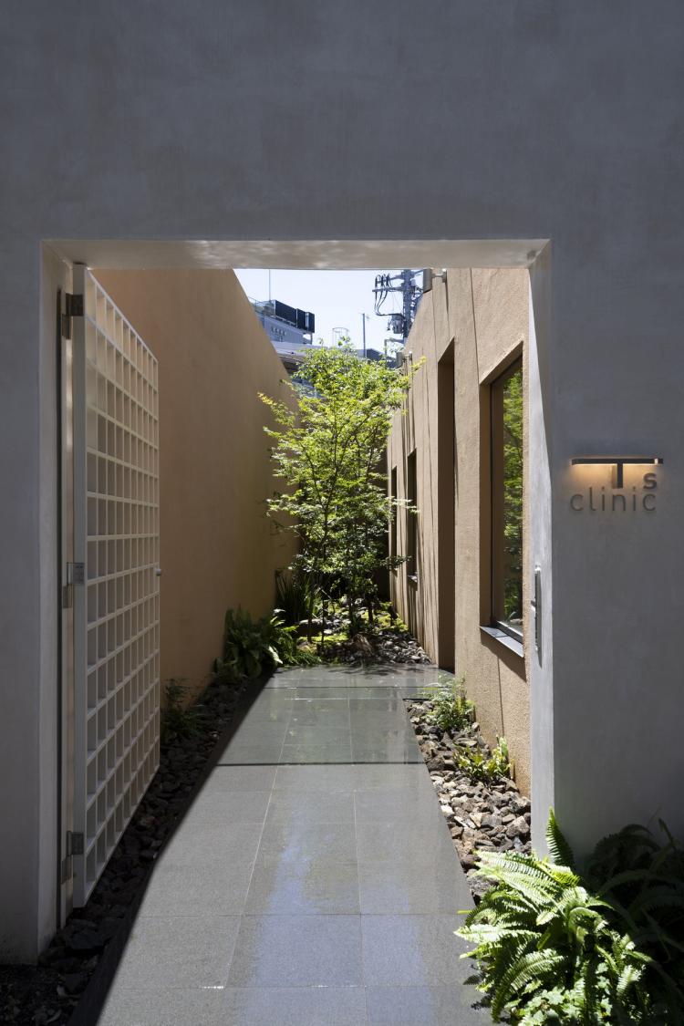 BIM建筑|东京天空洞穴住宅：静谧的自然居所 / IKAWAYA Architects