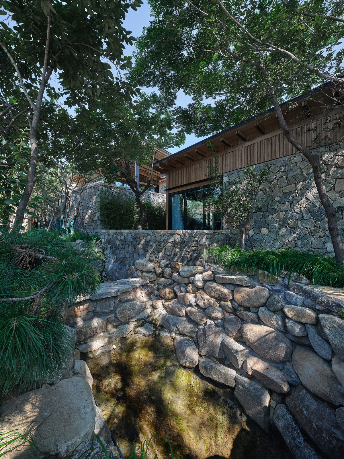 BIM建筑|十二个宅基地的新生：泰安东西门村活化更新 / 孟凡浩-gad · line+ studio