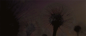 BIM建筑|圣果（誉山国际）幼儿园 / 迪卡幼儿园设计中心