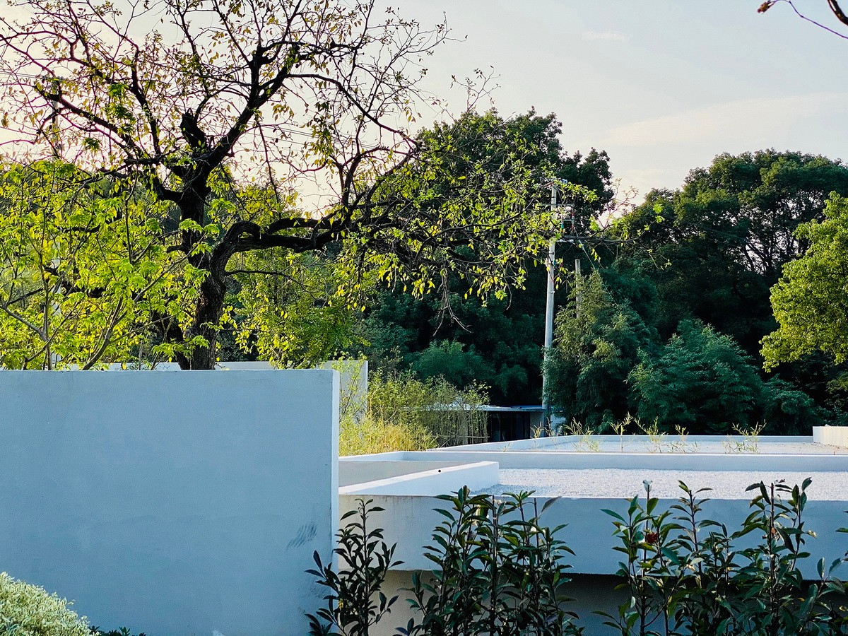 BIM建筑|低栖远居——过云山居苏州太湖三山岛改造 / 可空建筑设计工作室