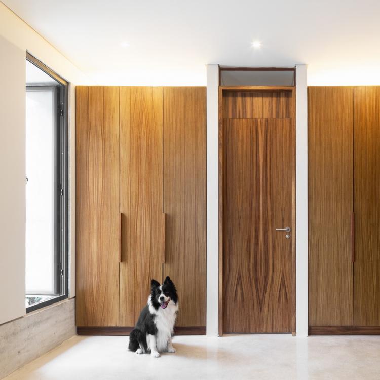 BIM建筑|Risch住宅，墨西哥 / Kiltro Polaris Arquitectura