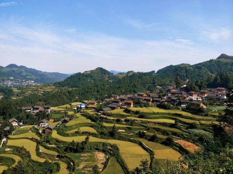 BIM建筑|生长与对话：贵州龙塘精准扶贫设计实践 / gad · line+ studio