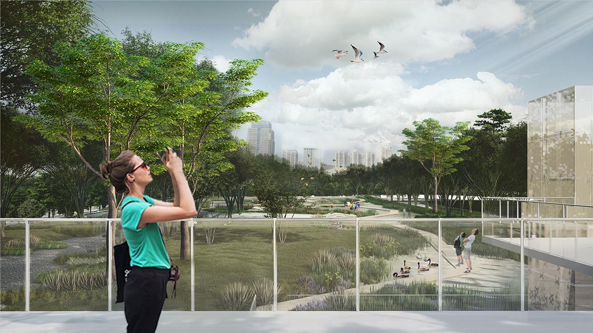 BIM建筑|中标方案 - 深圳红树林湿地博物馆项目国际竞赛 / 迹·建筑事务所（TAO）+AECOM