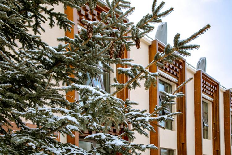 BIM建筑|喀拉卡尔藏族美食文化中心，香格里拉 / 平介设计