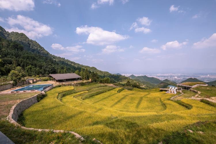 BIM建筑|可居可游，在半山稻田之间：重庆垫江巴谷宿集建筑设计 / 三文建筑