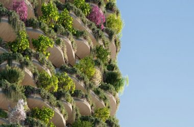 BIM建筑|高田浩一在布里斯班推出覆盖植物的高层住宅-BIM建筑网