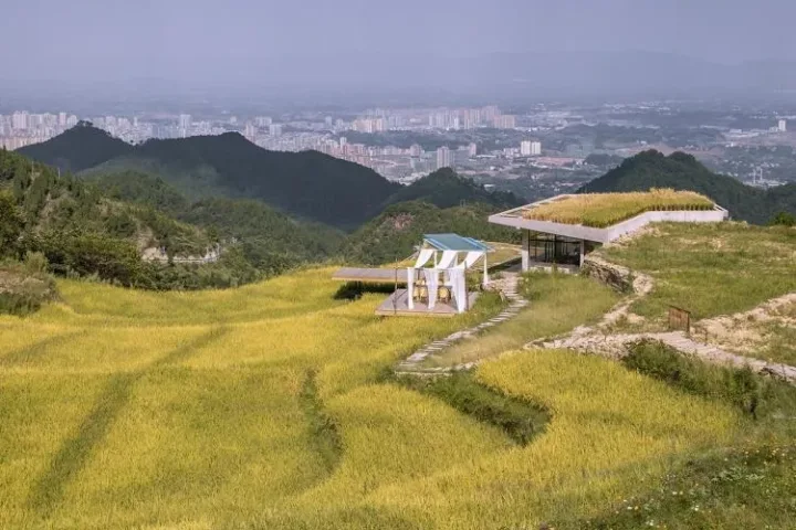 BIM建筑|可居可游，在半山稻田之间：重庆垫江巴谷宿集建筑设计 / 三文建筑