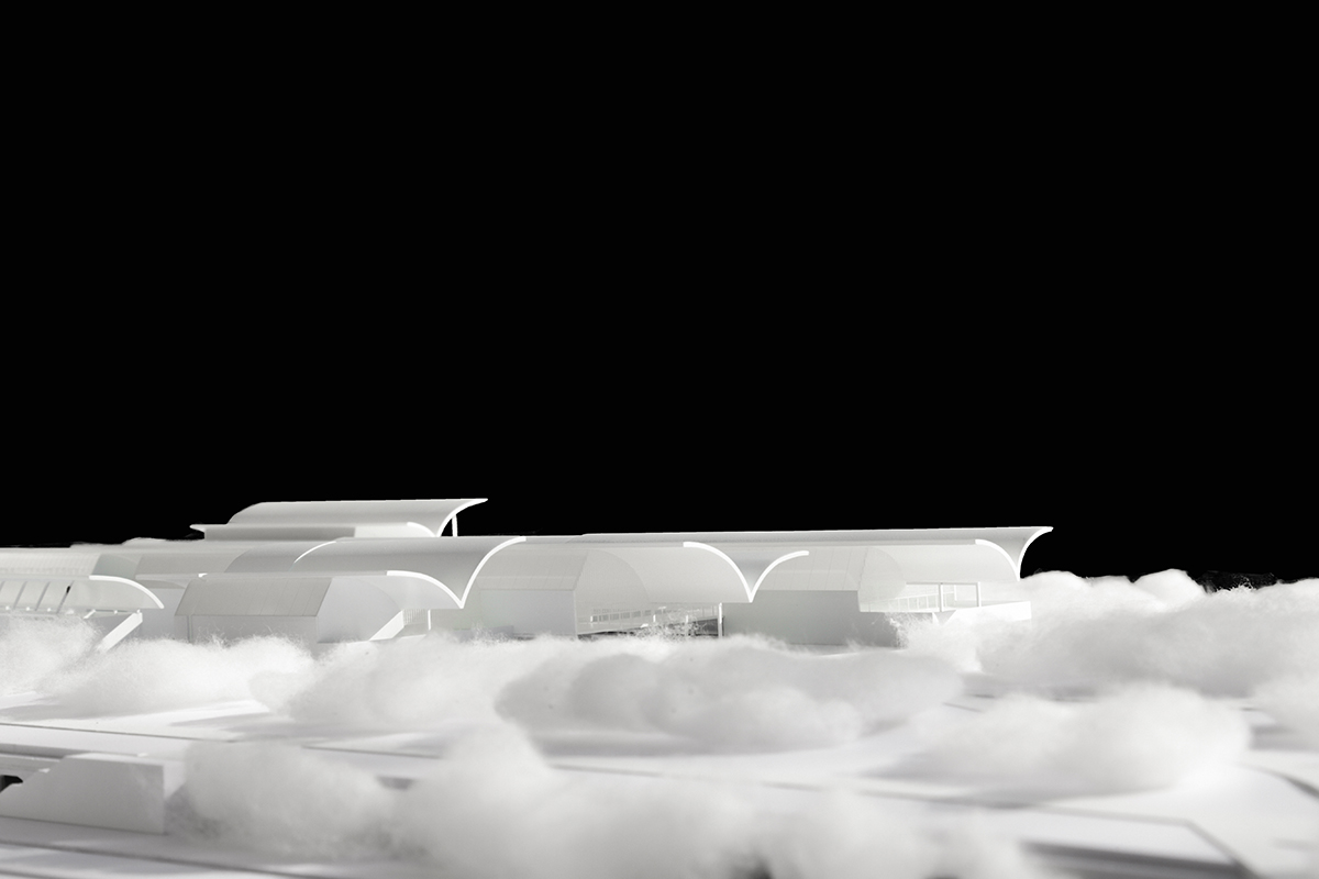 BIM建筑|中标方案 - 深圳红树林湿地博物馆项目国际竞赛 / 迹·建筑事务所（TAO）+AECOM