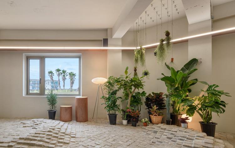 BIM建筑|济州岛“风之家” ，感知风的场所 / STARSIS