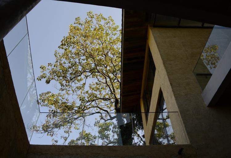 BIM建筑|可居可游，在半山稻田之间：重庆垫江巴谷宿集建筑设计 / 三文建筑