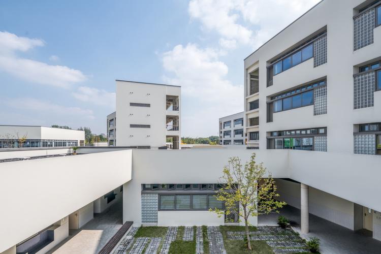 BIM建筑|同济大学附属实验小学 / 刘宇扬建筑事务所