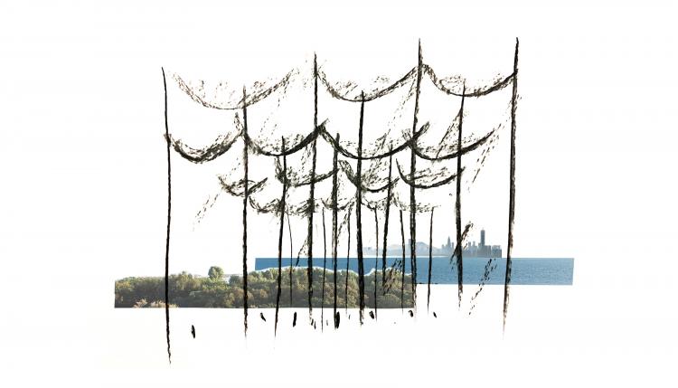 BIM建筑|中标方案 - 深圳红树林湿地博物馆项目国际竞赛 / 迹·建筑事务所（TAO）+AECOM