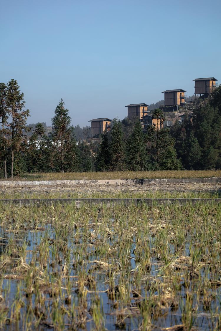 BIM建筑|生长与对话：贵州龙塘精准扶贫设计实践 / gad · line+ studio
