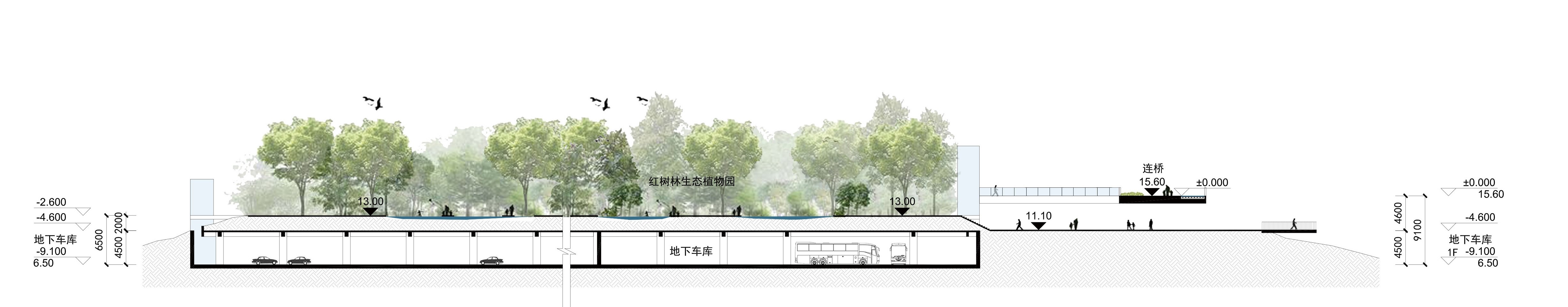 BIM建筑|中标方案 - 深圳红树林湿地博物馆项目国际竞赛 / 迹·建筑事务所（TAO）+AECOM