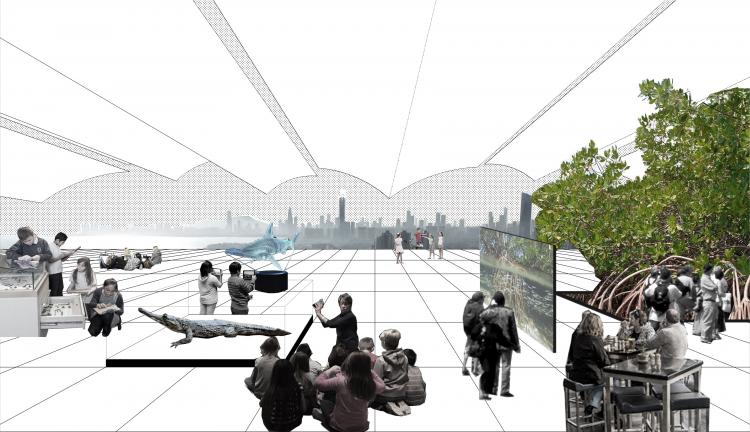 BIM建筑|中标方案 - 深圳红树林湿地博物馆项目国际竞赛 / 迹·建筑事务所（TAO）+AECOM