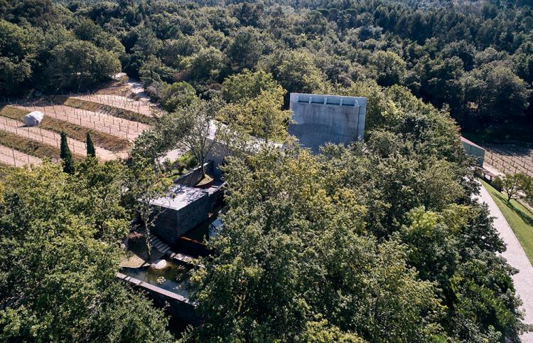 BIM建筑|落于林间的混凝土小教堂，静谧优雅而富有自然气息，葡萄牙 / Nicholas Burns