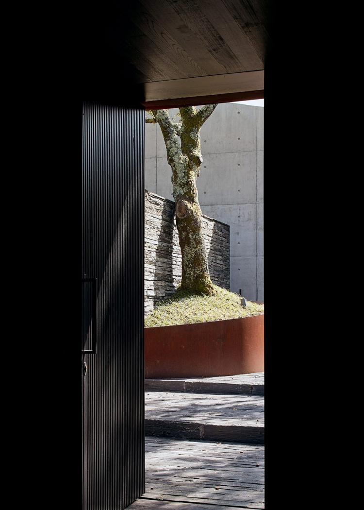 BIM建筑|落于林间的混凝土小教堂，静谧优雅而富有自然气息，葡萄牙 / Nicholas Burns