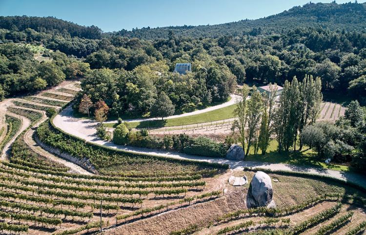 BIM建筑|落于林间的混凝土小教堂，静谧优雅而富有自然气息，葡萄牙 / Nicholas Burns