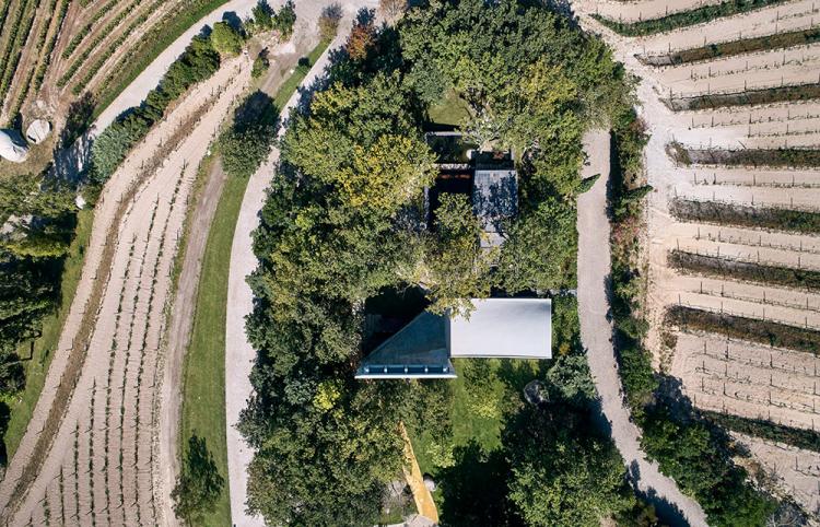 BIM建筑|落于林间的混凝土小教堂，静谧优雅而富有自然气息，葡萄牙 / Nicholas Burns