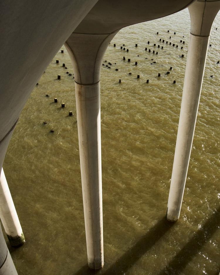 BIM建筑|鬼才建筑师Heatherwick新作：哈德逊河小岛公园/Heatherwick studio