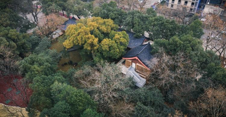 BIM建筑|南昌市八一公园梁书美术馆改造/XAA建筑事务所