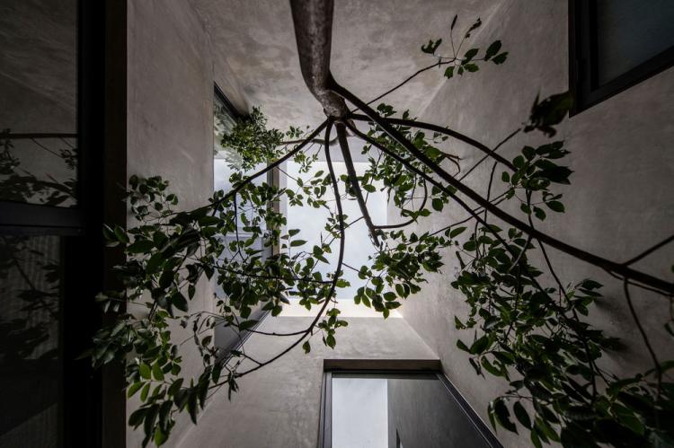 BIM建筑|天堂小屋 Empírea House/TACO taller de arquitectura contextual