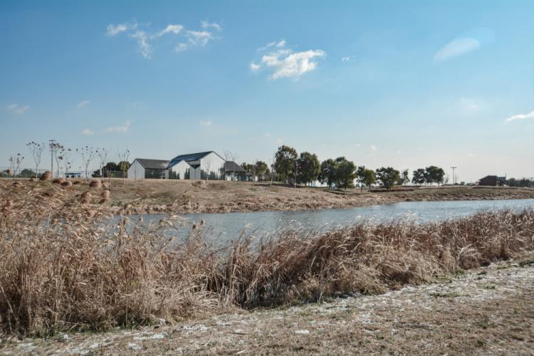 BIM建筑|苏州湾体育公园Lim咖啡/平介设计