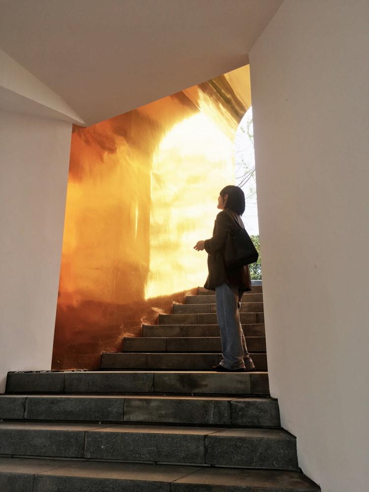 BIM建筑|成都阶梯美术馆/岩川建筑