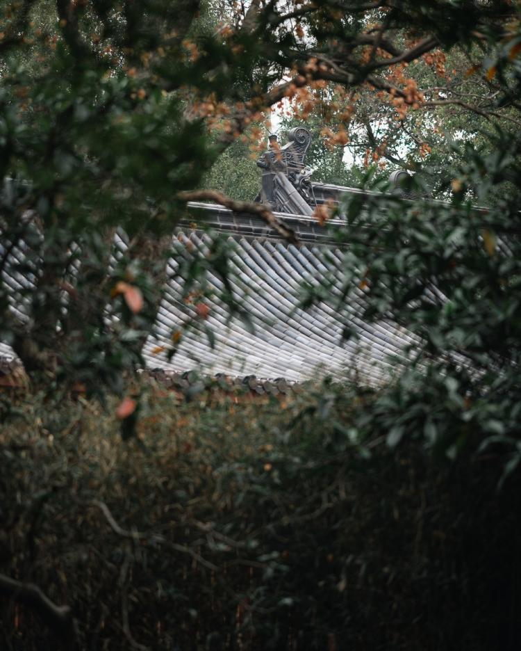 BIM建筑|南昌市八一公园梁书美术馆改造/XAA建筑事务所