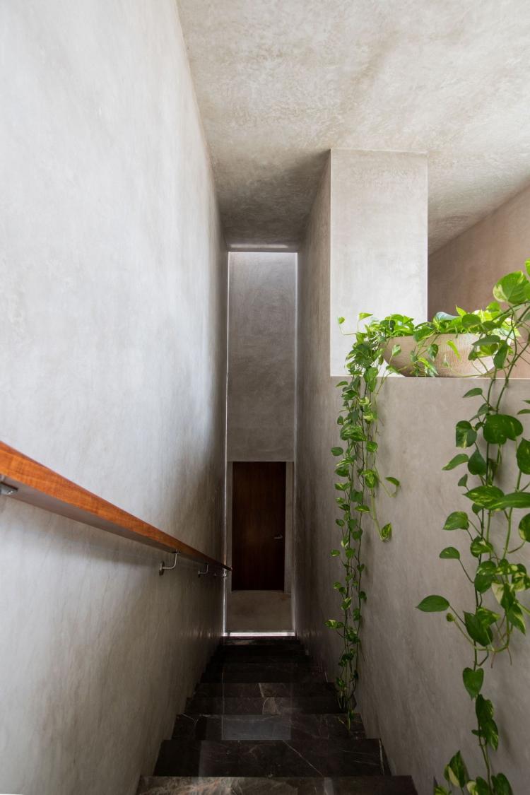 BIM建筑|天堂小屋 Empírea House/TACO taller de arquitectura contextual