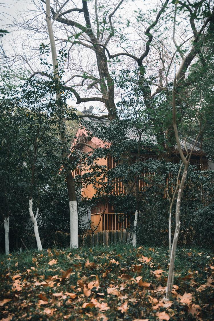 BIM建筑|南昌市八一公园梁书美术馆改造/XAA建筑事务所