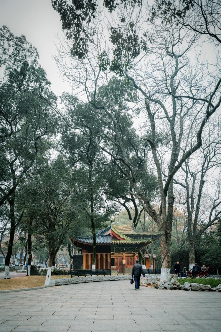 BIM建筑|南昌市八一公园梁书美术馆改造/XAA建筑事务所