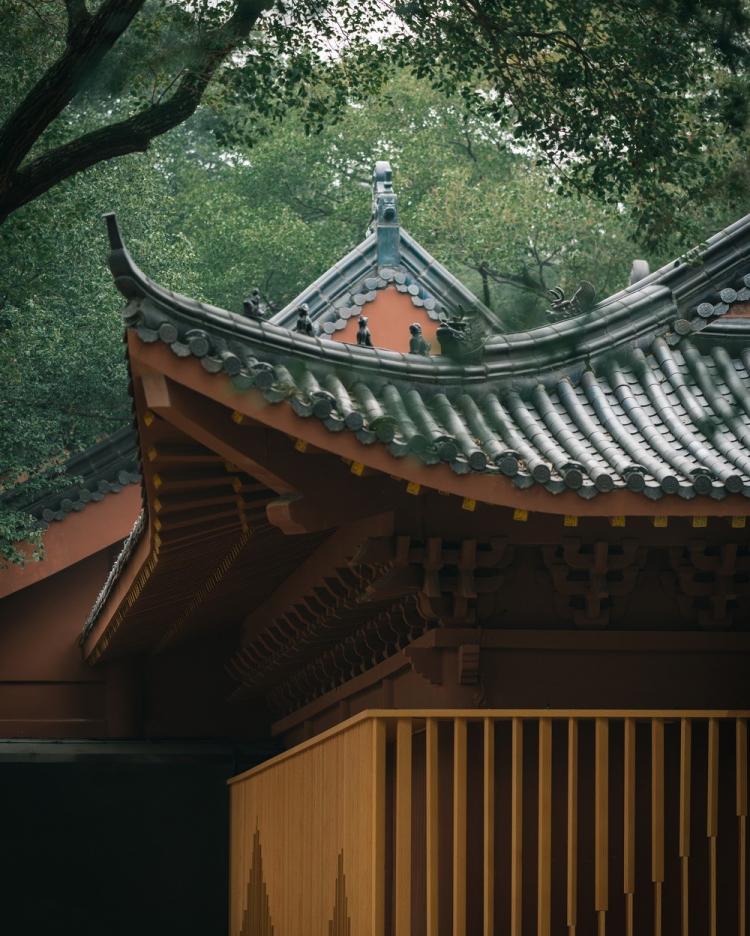 BIM建筑|南昌市八一公园梁书美术馆改造/XAA建筑事务所