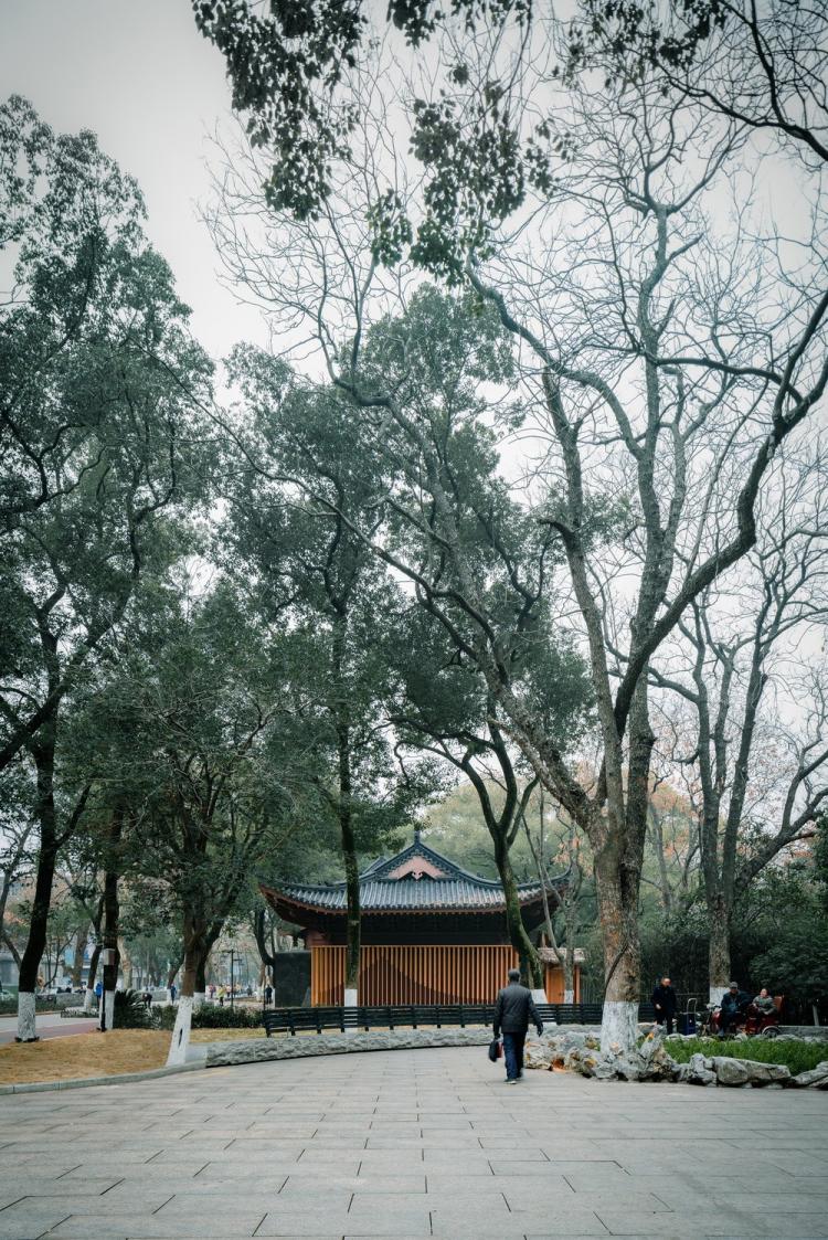 BIM建筑|南昌市八一公园梁书美术馆改造/XAA建筑事务所