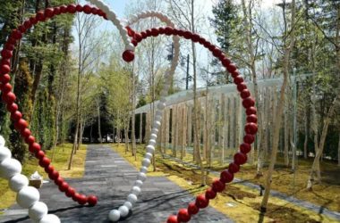 BIM建筑|地标性建筑之现代婚礼堂设计-BIM建筑网