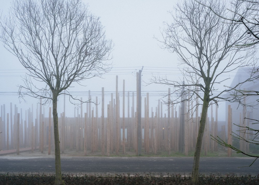BIM建筑|树林里的图书室：自然向建筑的转译/空间里