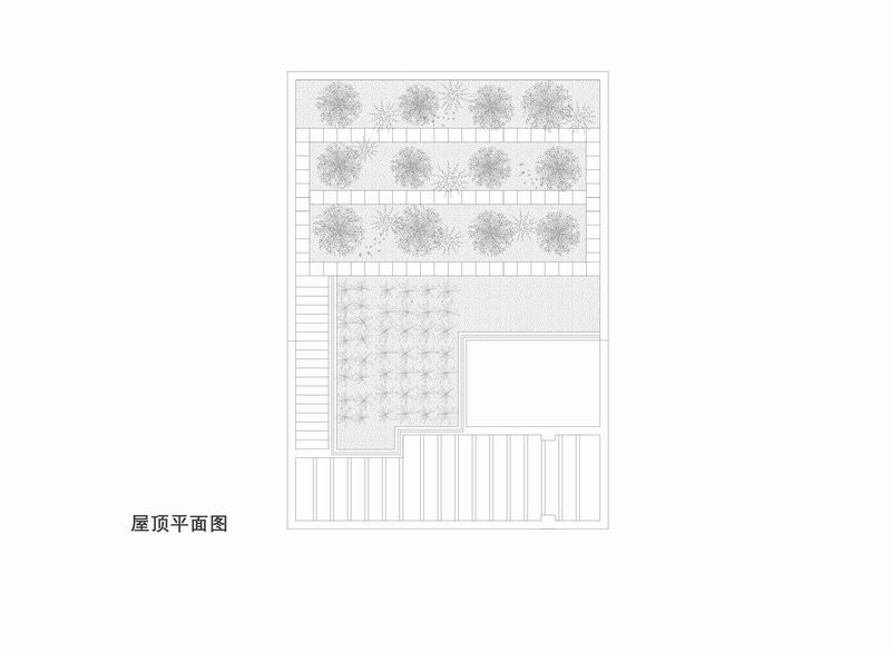 BIM建筑|登上福布斯的建筑师，用70w造出400平的“梯田之家” / 丰间建筑事务所