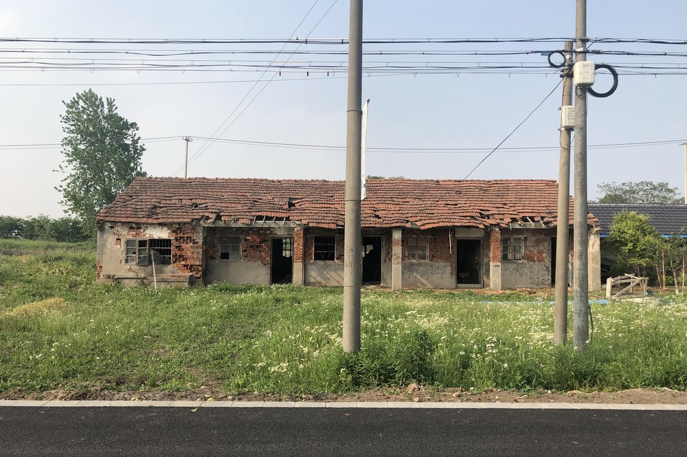 BIM建筑|树林里的图书室：自然向建筑的转译/空间里