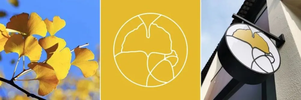 城市更新最新力作丨上海嘉定安亭老街：三种身份的介入