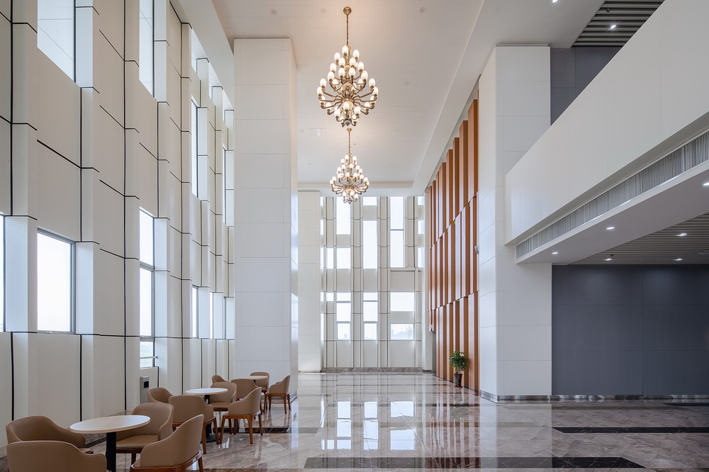 BIM建筑|肥东县政务服务中心/上海华都建筑（HDD）