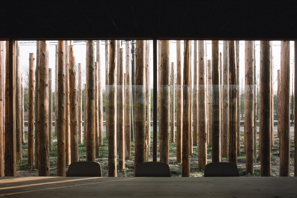 BIM建筑|树林里的图书室：自然向建筑的转译/空间里