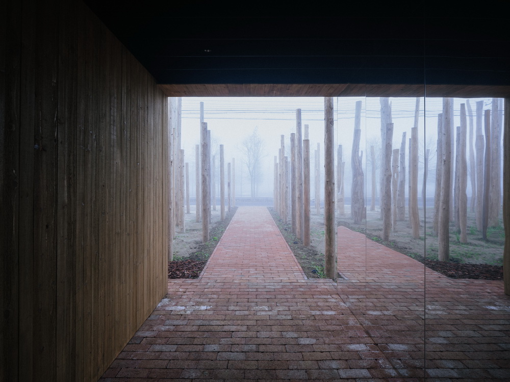 BIM建筑|树林里的图书室：自然向建筑的转译/空间里