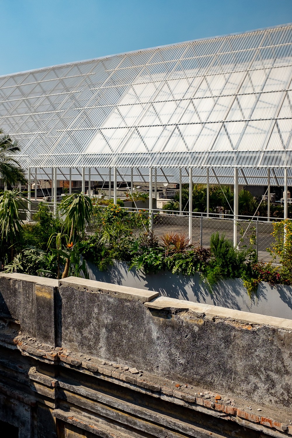 BIM建筑|建筑保护的新思路--给旧结构加个顶 / PRODUCTORA 事务所