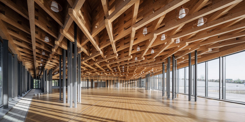 BIM建筑|山西太原穹顶植物园/DMAA