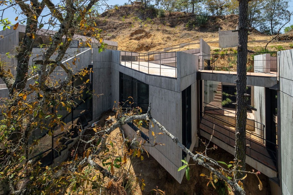 BIM建筑|体块的协奏曲：墨西哥蚕园/LAMZ Arquitectura