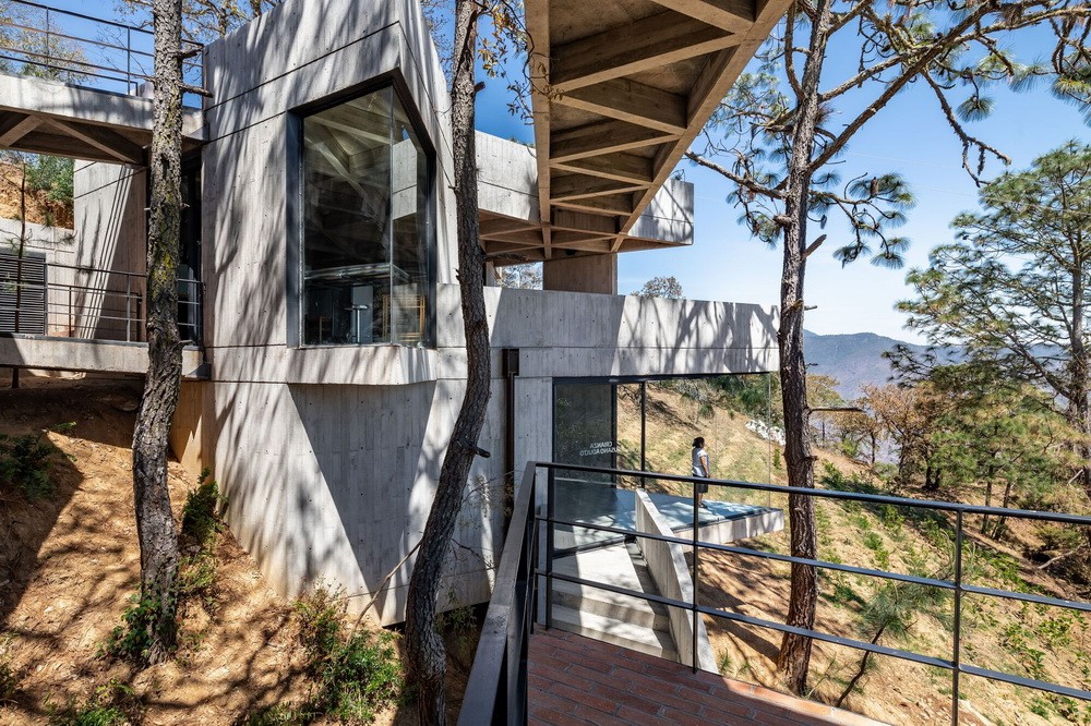 BIM建筑|体块的协奏曲：墨西哥蚕园/LAMZ Arquitectura