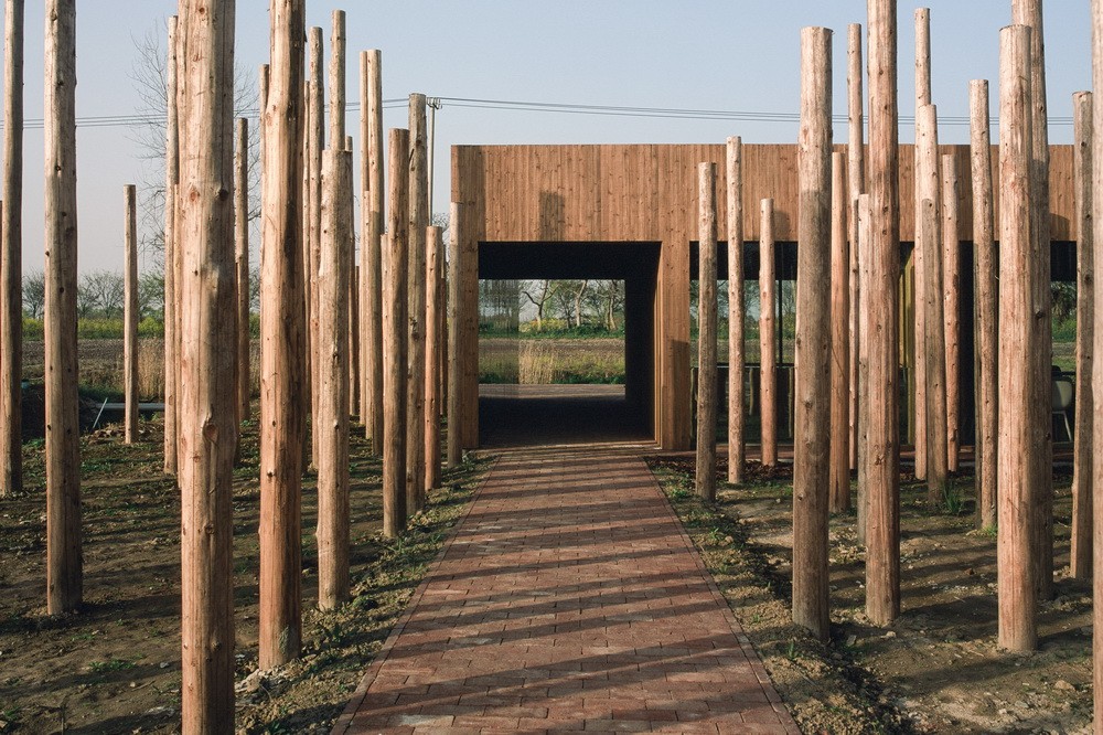 BIM建筑|树林里的图书室：自然向建筑的转译/空间里